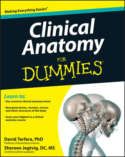 Скачать книгу Clinical Anatomy For Dummies