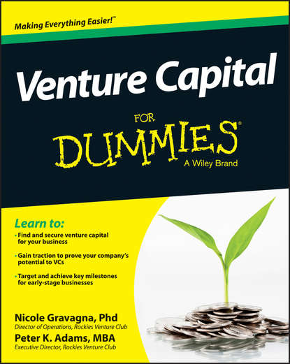 Скачать книгу Venture Capital For Dummies