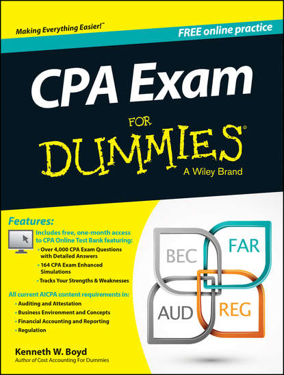 Скачать книгу CPA Exam For Dummies