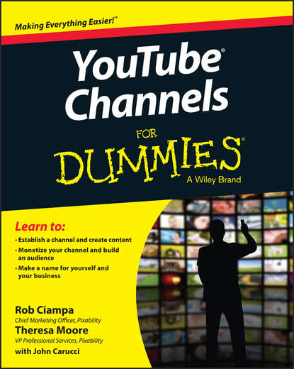 Скачать книгу YouTube Channels For Dummies