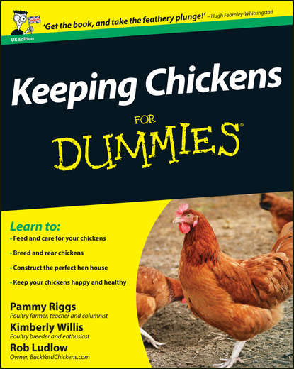 Скачать книгу Keeping Chickens For Dummies