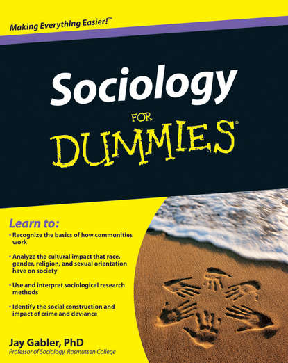 Скачать книгу Sociology For Dummies