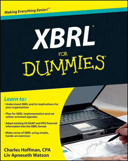 Скачать книгу XBRL For Dummies