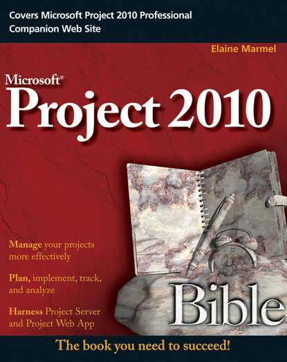 Скачать книгу Project 2010 Bible