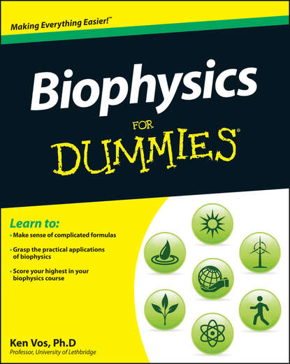 Скачать книгу Biophysics For Dummies