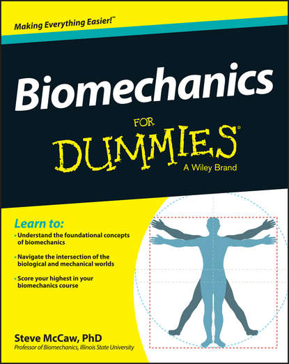 Скачать книгу Biomechanics For Dummies