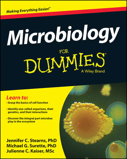 Скачать книгу Microbiology For Dummies