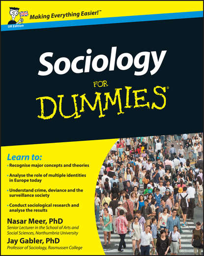 Скачать книгу Sociology For Dummies