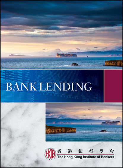 Скачать книгу Bank Lending