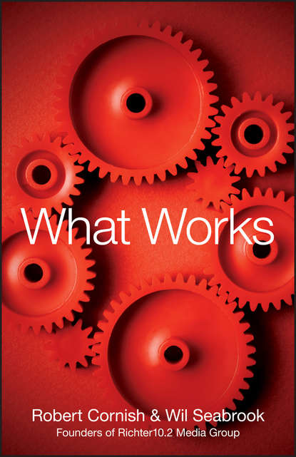Скачать книгу What Works