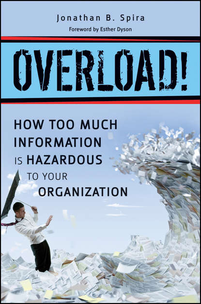 Скачать книгу Overload! How Too Much Information is Hazardous to your Organization