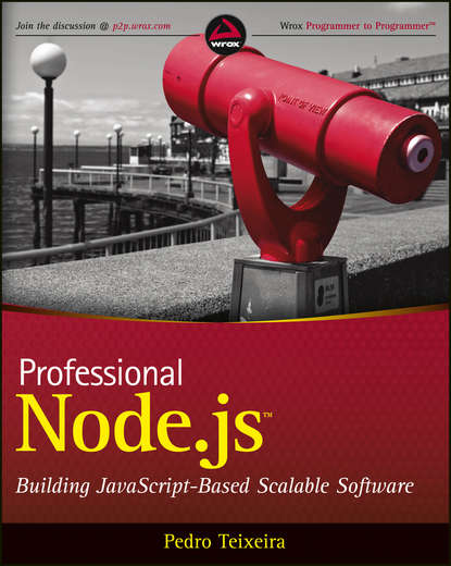 Скачать книгу Professional Node.js. Building Javascript Based Scalable Software