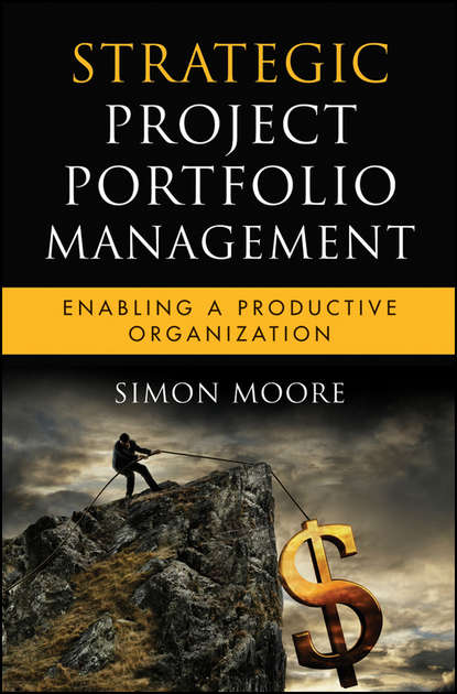 Скачать книгу Strategic Project Portfolio Management. Enabling a Productive Organization