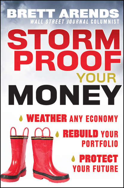 Скачать книгу Storm Proof Your Money. Weather Any Economy, Rebuild Your Portfolio, Protect Your Future