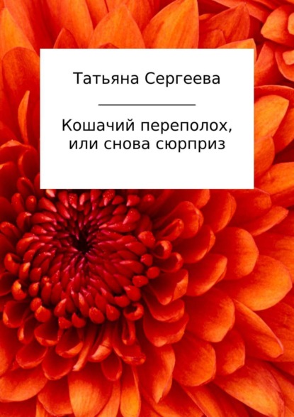 Кошачий переполох, или Снова сюрприз