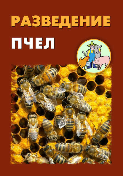 Скачать книгу Разведение пчел