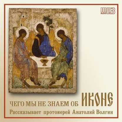 Скачать книгу Чего мы не знаем об иконе