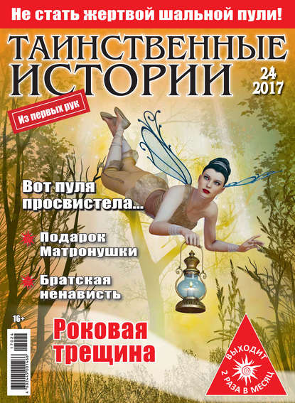 Скачать книгу Таинственные истории №24/2017