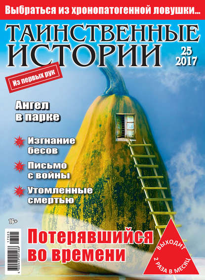 Скачать книгу Таинственные истории №25/2017