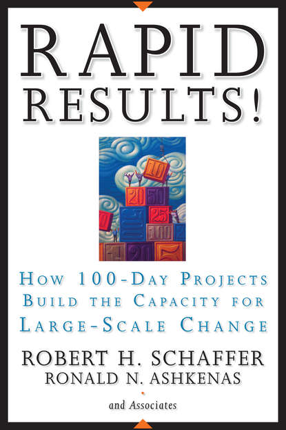 Скачать книгу Rapid Results!. How 100-Day Projects Build the Capacity for Large-Scale Change
