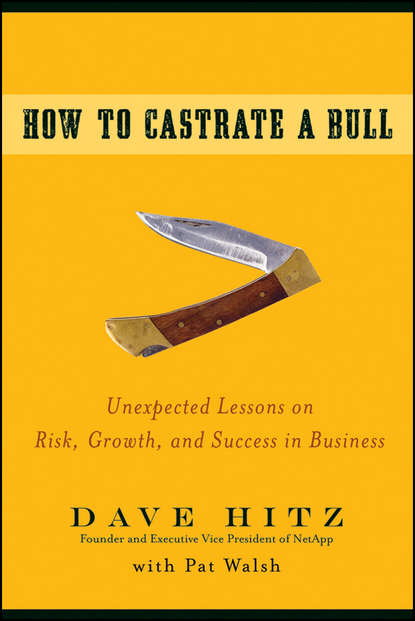 Скачать книгу How to Castrate a Bull. Unexpected Lessons on Risk, Growth, and Success in Business
