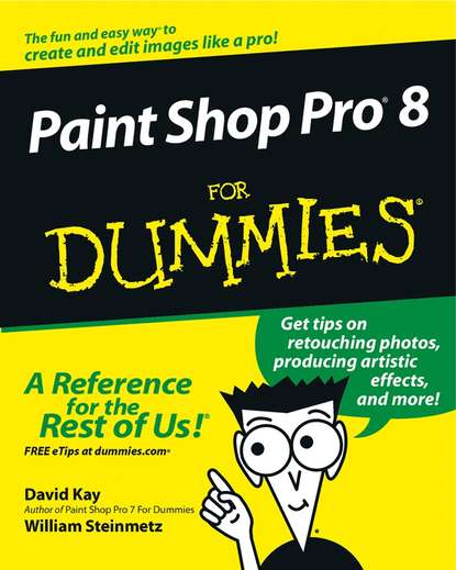 Скачать книгу Paint Shop Pro 8 For Dummies