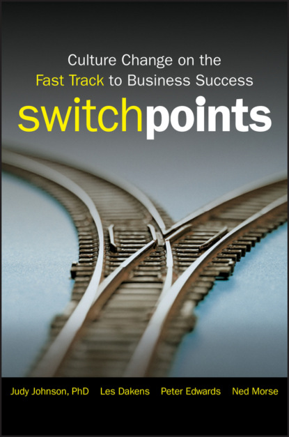 Скачать книгу SwitchPoints. Culture Change on the Fast Track to Business Success