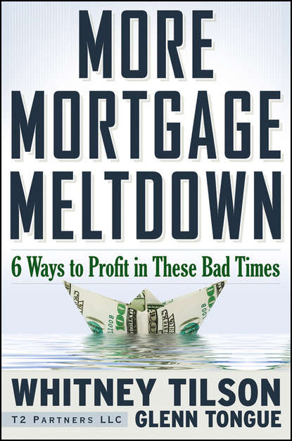 Скачать книгу More Mortgage Meltdown. 6 Ways to Profit in These Bad Times