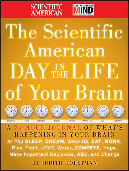 Скачать книгу The Scientific American Day in the Life of Your Brain. A 24 hour Journal of What's Happening in Your Brain as you Sleep, Dream, Wake Up, Eat, Work, Play, Fight, Love, Worry, Compete, Hope, Make Important Decisions, Age and Change