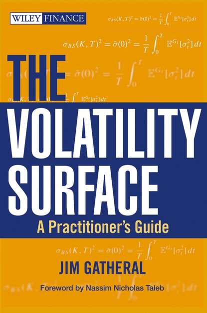 Скачать книгу The Volatility Surface. A Practitioner's Guide