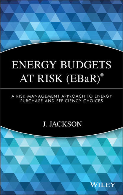 Скачать книгу Energy Budgets at Risk (EBaR). A Risk Management Approach to Energy Purchase and Efficiency Choices