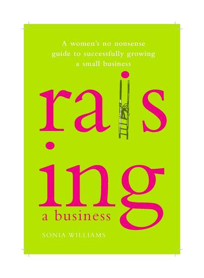 Скачать книгу Raising a Business. A Woman's No-nonsense Guide to Successfully Growing a Small Business