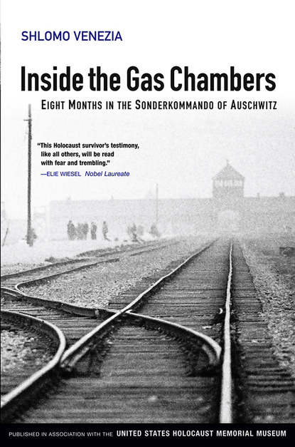 Скачать книгу Inside the Gas Chambers. Eight Months in the Sonderkommando of Auschwitz