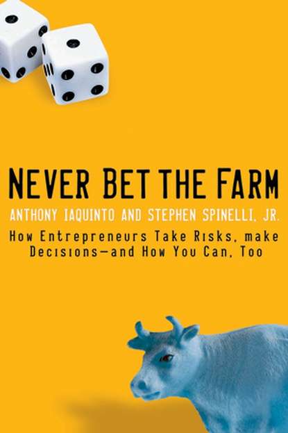 Скачать книгу Never Bet the Farm. How Entrepreneurs Take Risks, Make Decisions -- and How You Can, Too