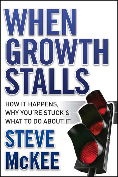 Скачать книгу When Growth Stalls. How It Happens, Why You're Stuck, and What to Do About It