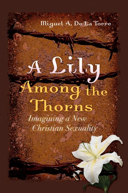 Скачать книгу A Lily Among the Thorns. Imagining a New Christian Sexuality