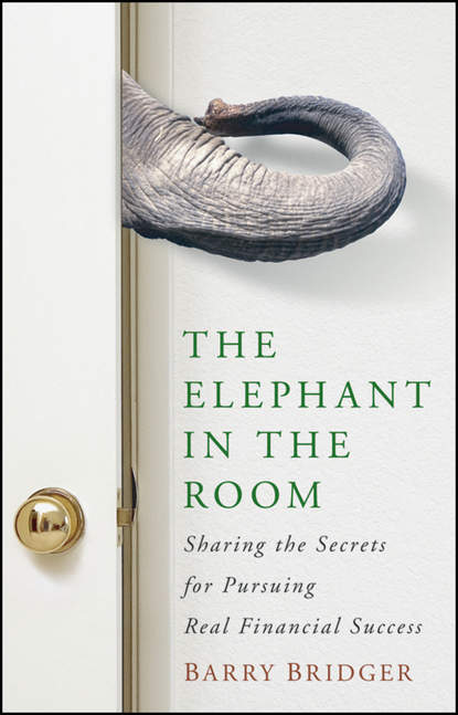 Скачать книгу The Elephant in the Room. Sharing the Secrets for Pursuing Real Financial Success