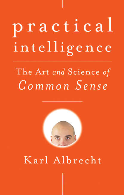 Practical Intelligence. The Art and Science of Common Sense