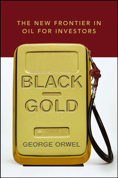 Скачать книгу Black Gold. The New Frontier in Oil for Investors