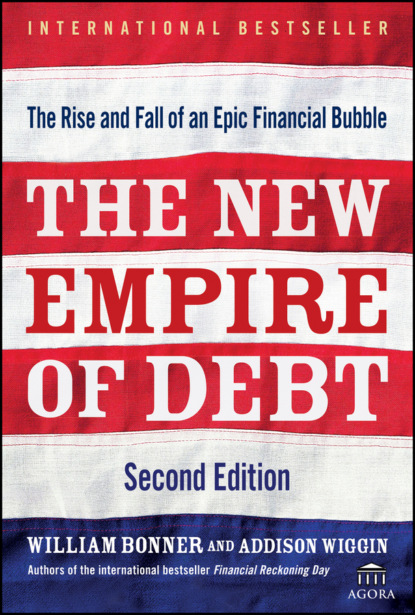 Скачать книгу The New Empire of Debt. The Rise and Fall of an Epic Financial Bubble