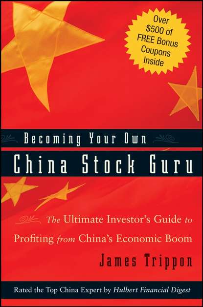 Скачать книгу Becoming Your Own China Stock Guru. The Ultimate Investor's Guide to Profiting from China's Economic Boom