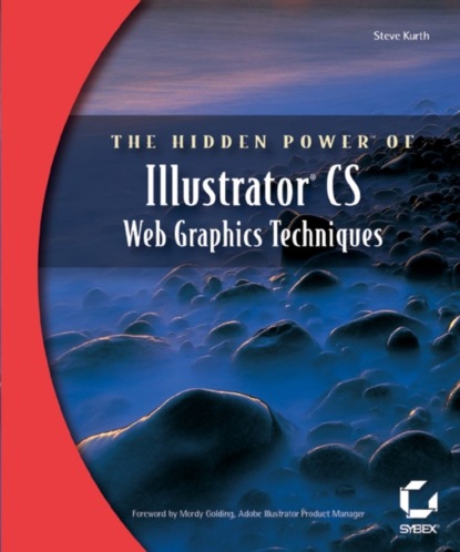Скачать книгу The Hidden Power of Illustrator CS. Web Graphics Techniques