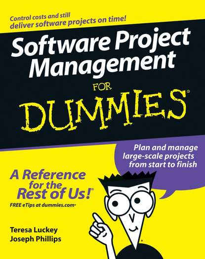 Скачать книгу Software Project Management For Dummies