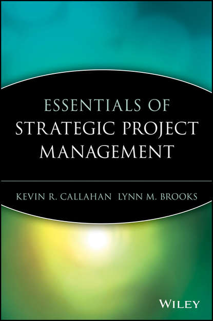 Скачать книгу Essentials of Strategic Project Management