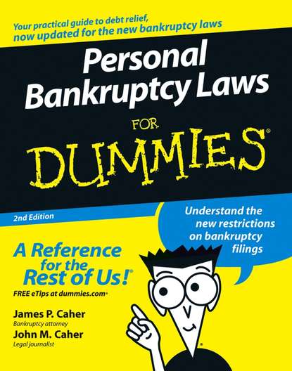 Скачать книгу Personal Bankruptcy Laws For Dummies