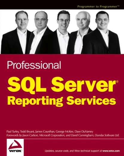 Скачать книгу Professional SQL Server Reporting Services