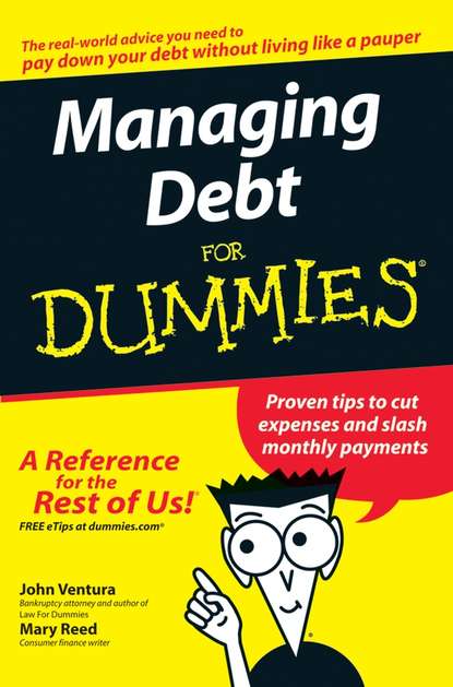 Скачать книгу Managing Debt For Dummies