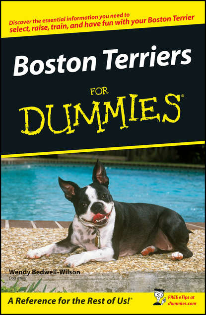 Скачать книгу Boston Terriers For Dummies