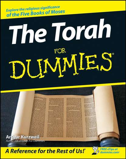 Скачать книгу The Torah For Dummies
