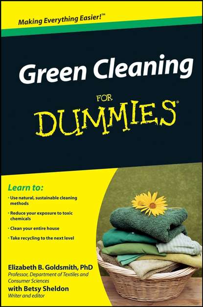 Скачать книгу Green Cleaning For Dummies